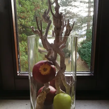 Gruga An Der Messe Apartment