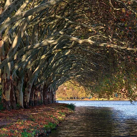 Apartment Gruga An Der Messe *