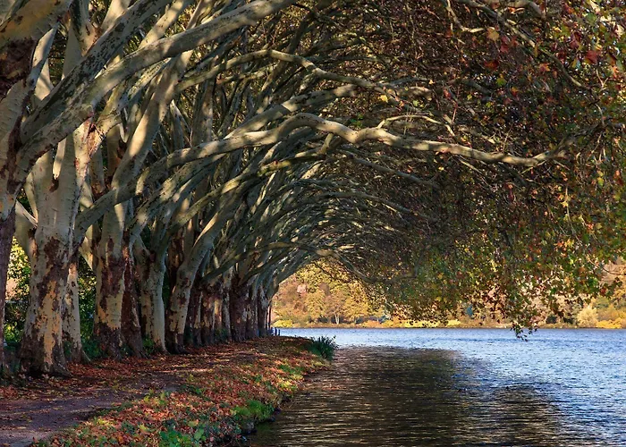 شقة Gruga An Der Messe *