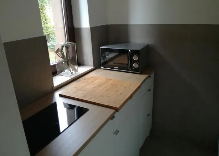 博览会格鲁加公寓 公寓 *