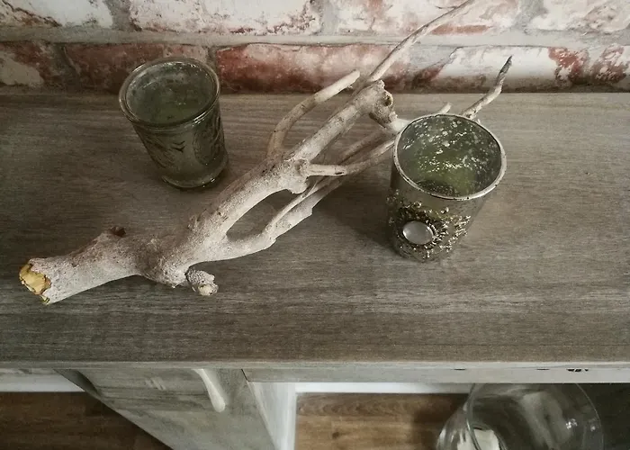 博览会格鲁加公寓 埃森